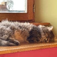 Sitter Profile Image: Amandine P.