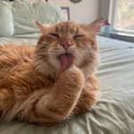 Sitter Profile Image: Charish W.