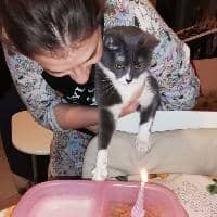 Sitter Profile Image: Alice V.