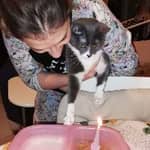 Sitter Profile Image: Alice V.