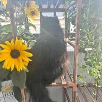 Sitter Profile Image: Alexsaundria B.