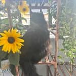 Sitter Profile Image: Alexsaundria B.