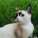 Sitter Profile Image: Alexis A.