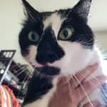 Sitter Profile Image: Melissa G.