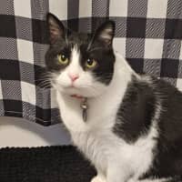 Sitter Profile Image: Jackie E.