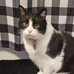 Sitter Profile Image: Jackie E.