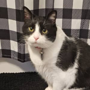 Sitter Profile Image: Jackie E.