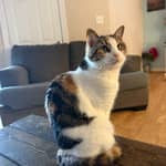 Sitter Profile Image: Brittany V.