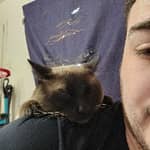 Sitter Profile Image: Daniel T.