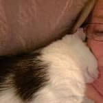 Sitter Profile Image: Lauchlan J.