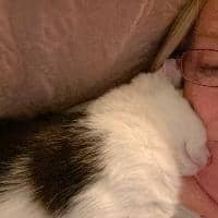 Sitter Profile Image: Lauchlan J.