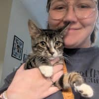 Sitter Profile Image: Kelsey K.