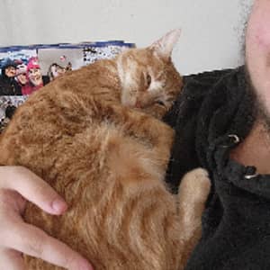 Sitter Profile Image: Rowan L.