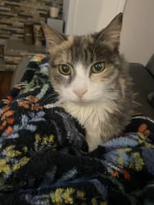 Sitter Profile Image: Kim K.