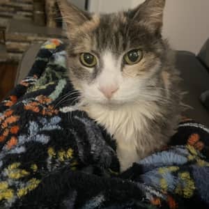 Sitter Profile Image: Kim K.