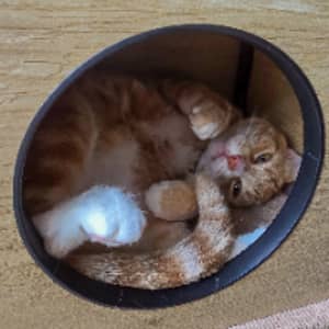 Sitterprofilbild: Rich B.