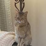 Sitter Profile Image: Emma S.