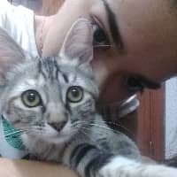 Sitter Profile Image: Xena N.