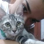 Sitter Profile Image: Xena N.