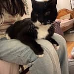 Sitter Profile Image: Runan Z.