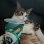 Sitter Profile Image: Morgane V.