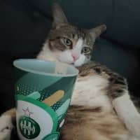 Sitter Profile Image: Morgane V.