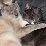 Sitter Profile Image: Audri G.