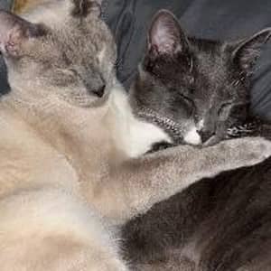 Sitter Profile Image: Audri G.