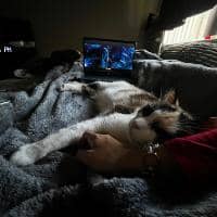 Sitter Profile Image: Kady S.