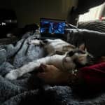 Sitter Profile Image: Kady S.