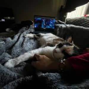 Sitter Profile Image: Kady S.