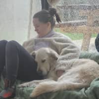 Sitter Profile Image: Laurine B.