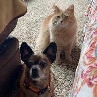 Sitter Profile Image: Kamie B.