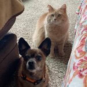 Sitter Profile Image: Kamie B.