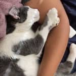 Sitter Profile Image: dallas b.