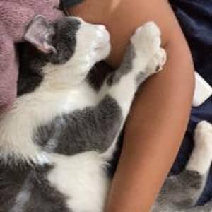 Sitter Profile Image: dallas b.