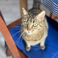 Sitter Profile Image: Mélani M.