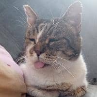 Sitter Profile Image: Séréna D.