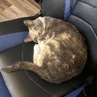 Sitter Profile Image: Cullen M.