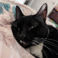 Sitter Profile Image: Jeana B.