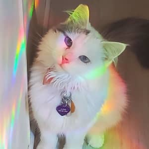 Sitter Profile Image: Holly & Joshua & Grace B.