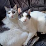 Sitter Profile Image: Susana M.