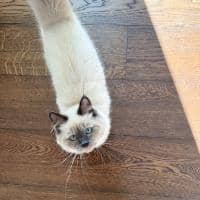 Sitter Profile Image: Enrica M.