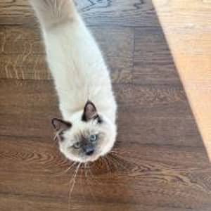 Sitter Profile Image: Enrica M.