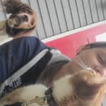 Sitter Profile Image: Cailey B.