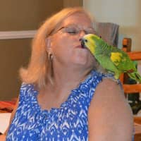 Sitter Profile Image: Debra W.