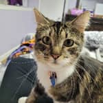 Sitter Profile Image: Lillian F.