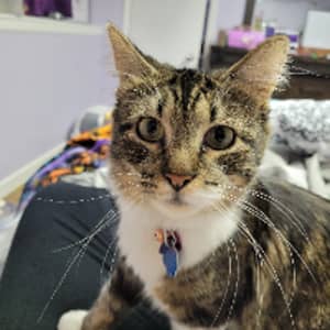 Sitter Profile Image: Lillian F.