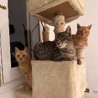 Sitter Profile Image: Maria Rosa C.