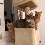 Sitter Profile Image: Maria Rosa C.